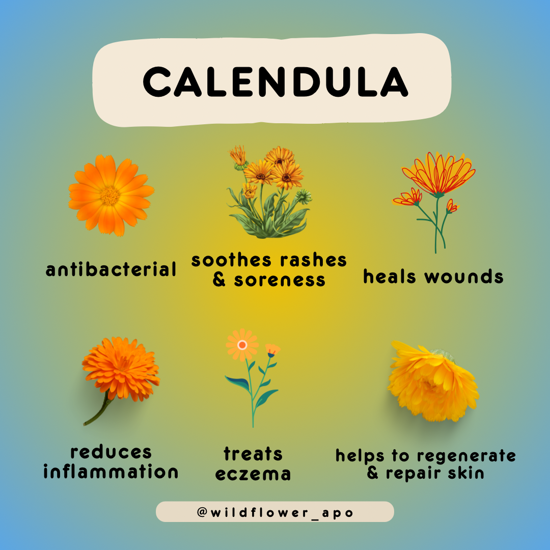 Golden Petal Calendula Butter